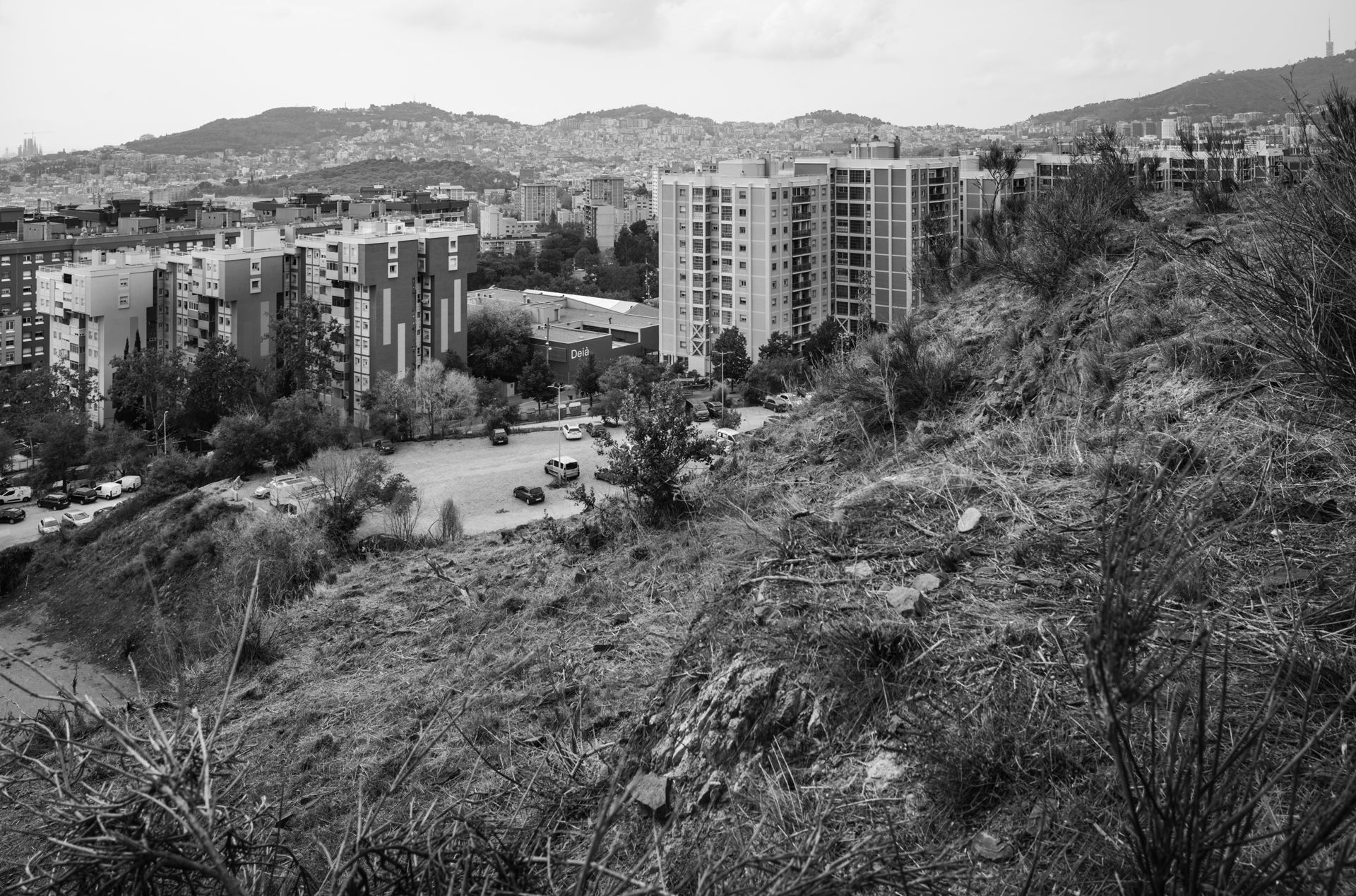 7199_016_pub--imatge-7199_016_pubtif