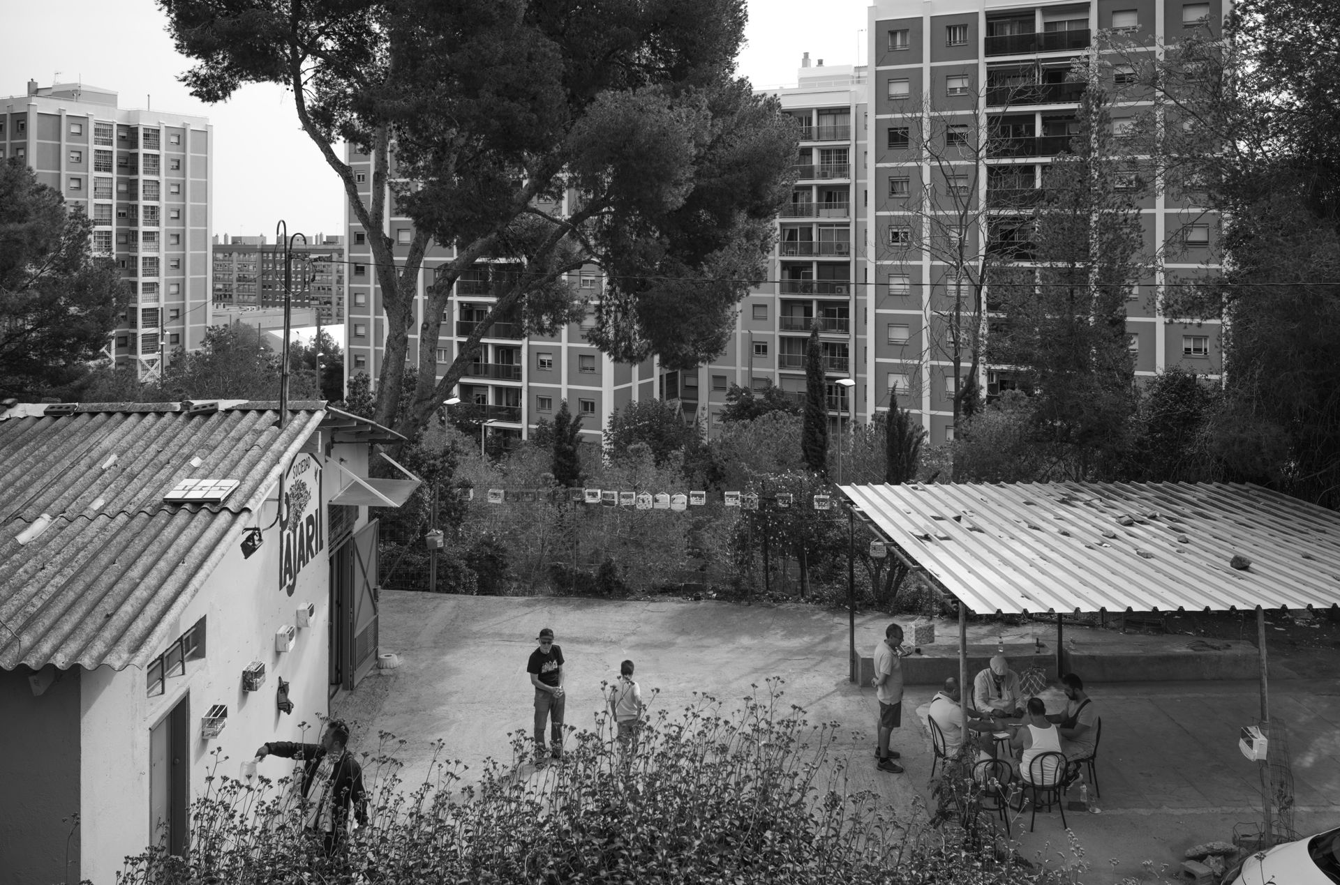 7199_017_pub--imatge-7199_017_pubtif