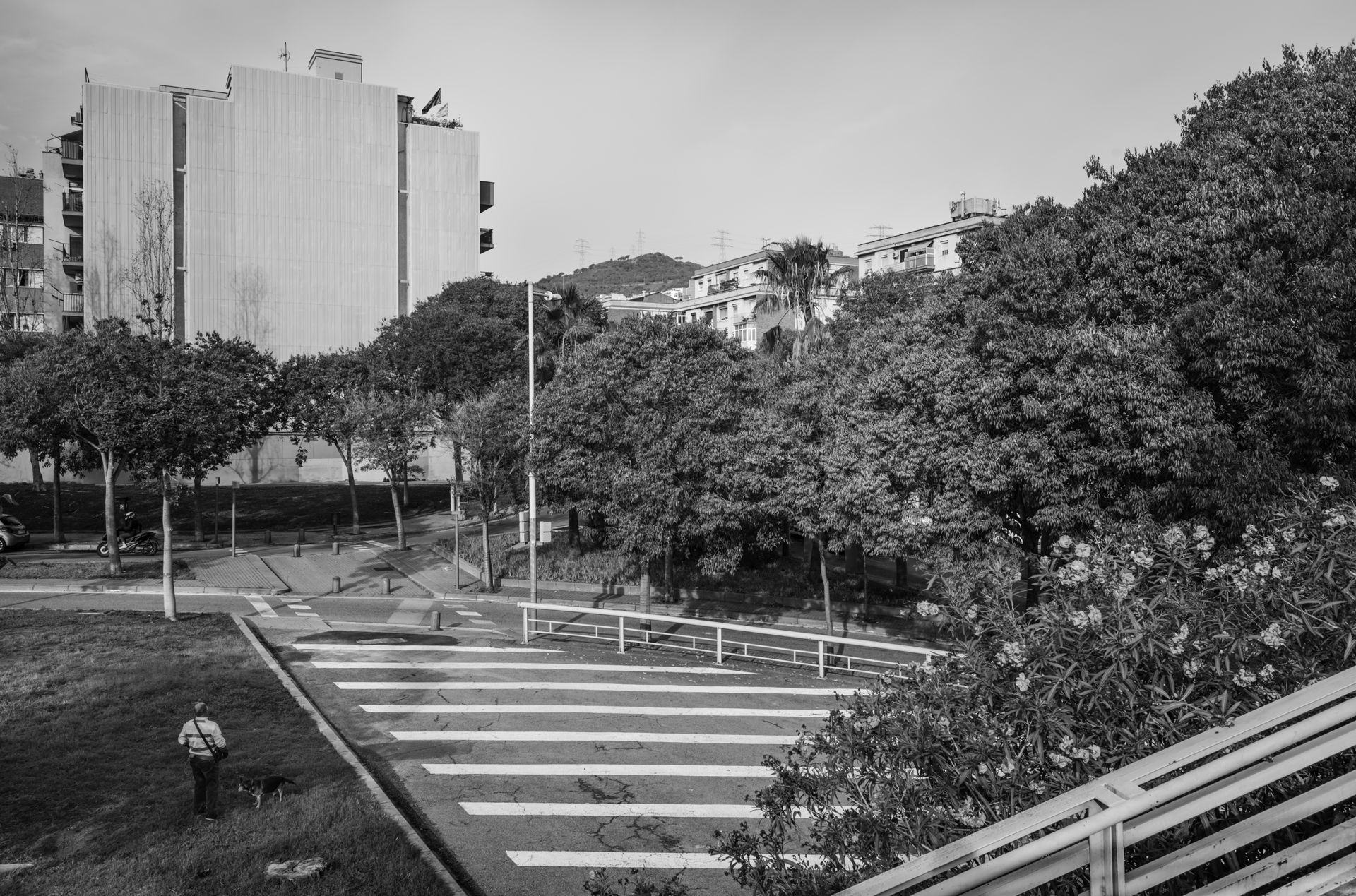 7199_018_pub--imatge-7199_018_pubtif