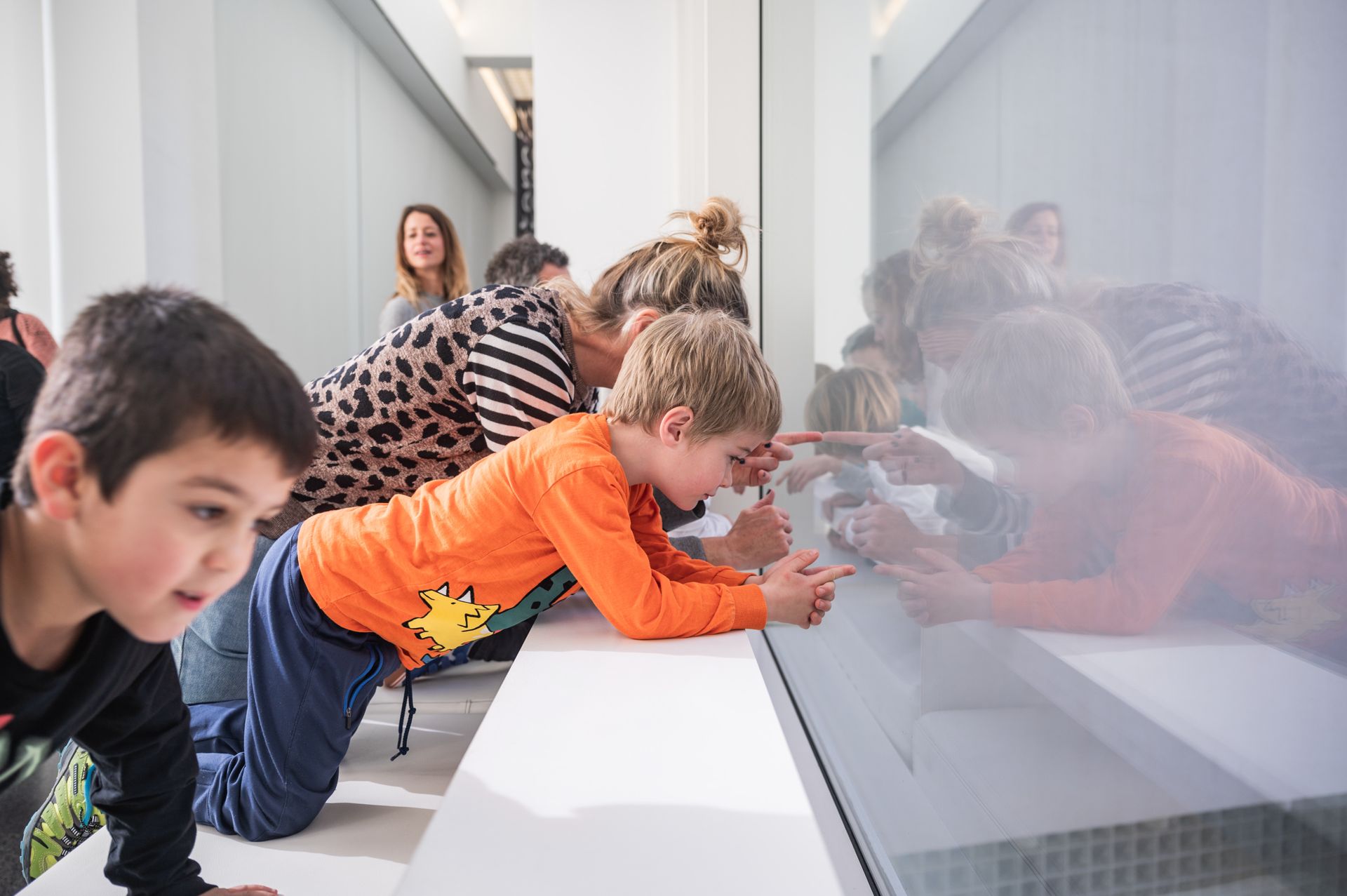 dig_ahis08063_065--imatge-dig_ahis08063_065tiff