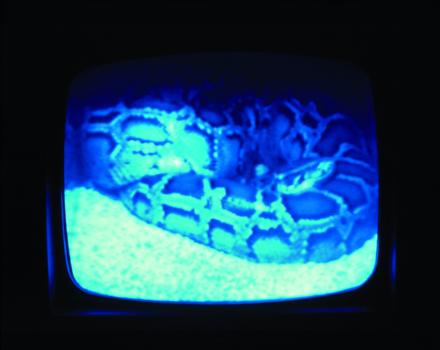 6257_003_hist--imatge-the-head-of-the-dragon