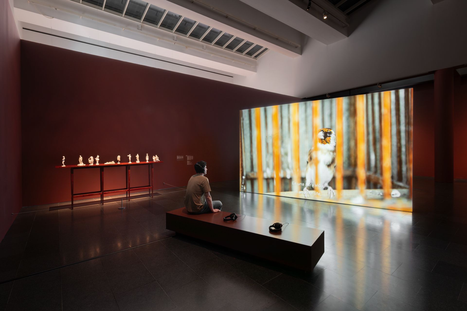 dig_ahis08431_071--imatge-dig_ahis08431_071tif