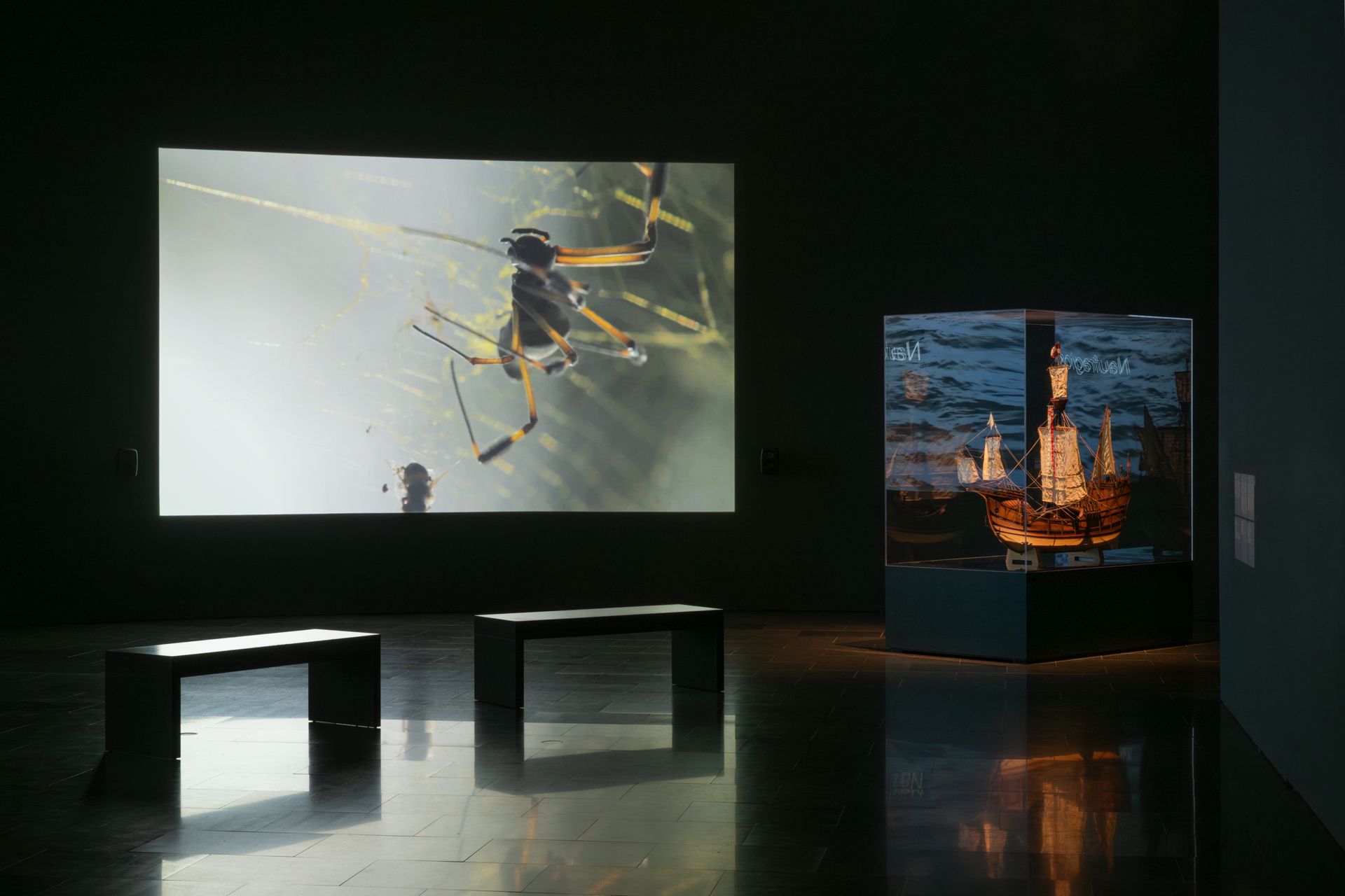 dig_ahis08431_015--imatge-dig_ahis08431_015tif