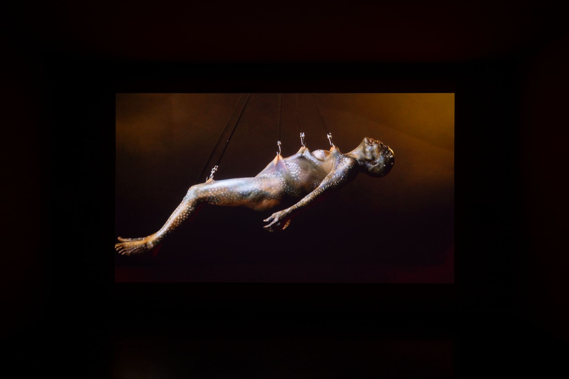 dig_ahis08431_103--imatge-dig_ahis08431_103tif