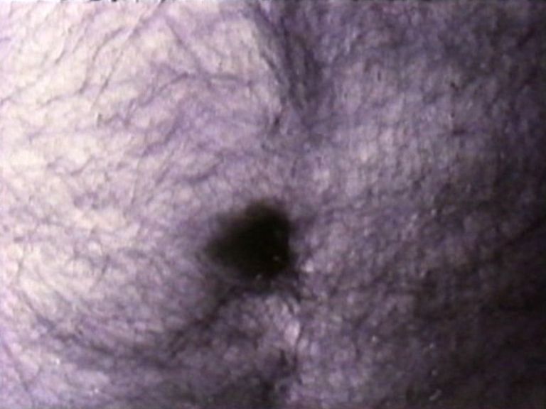 2589_001_pub--imatge-2589_001_pubjpg