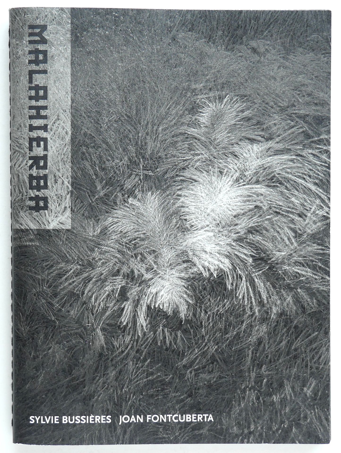 a15085_001--imatge-a15085_001jpg