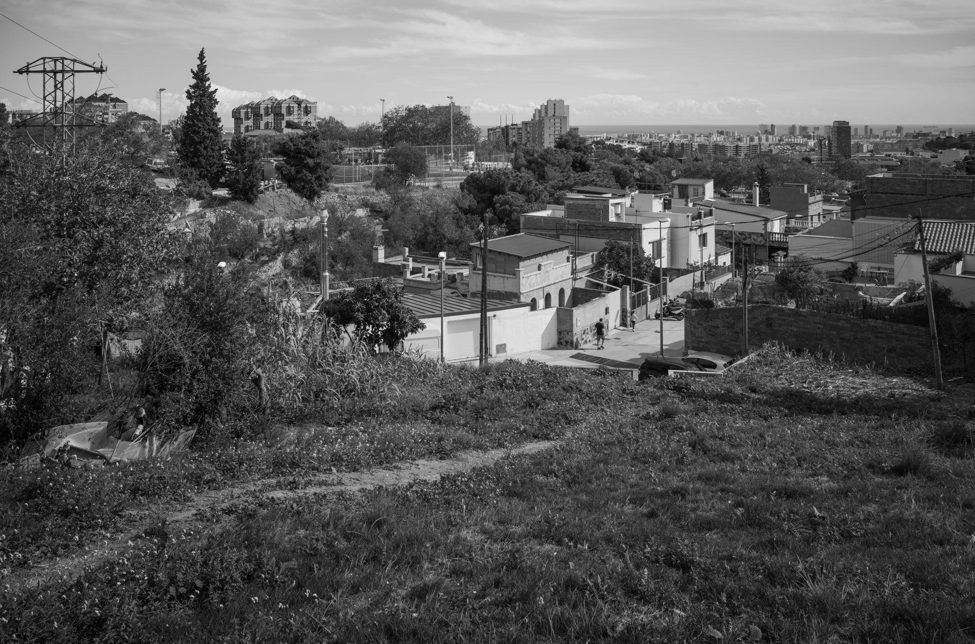 7199_019_pub--imatge-7199_019_pubtif