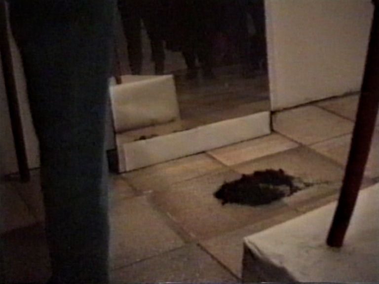 2597_006_pub--imatge-2597_006_pubjpg